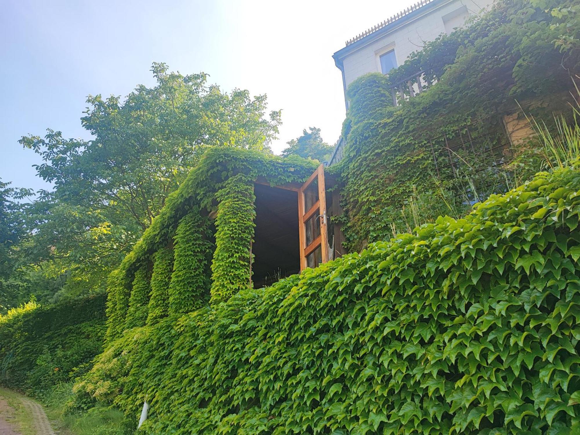 Penzion Privoz Hřensko 部屋 写真